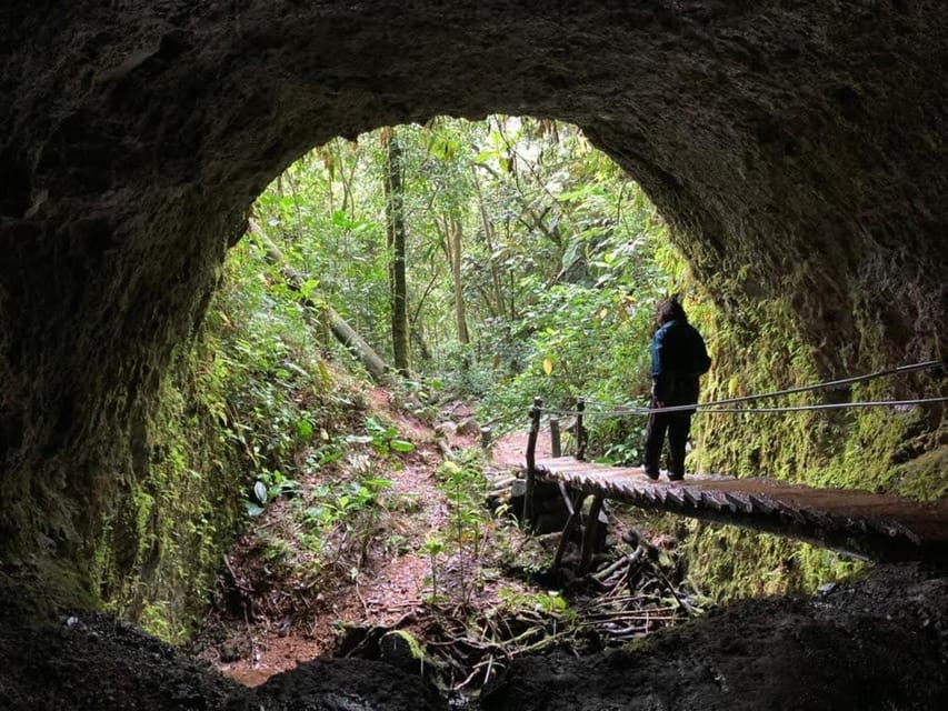 Santa Rita Waterfall and Salento Private Tour - Who This Tour Is Best For