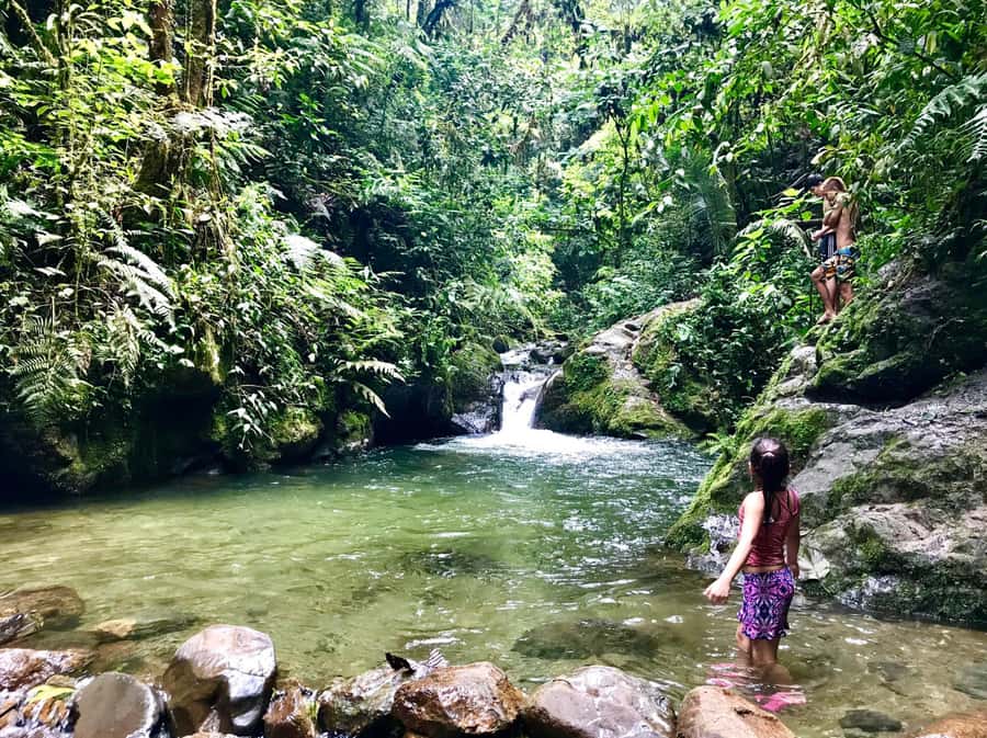 Santa Rita Waterfall and Salento Private Tour - The Forest Walk: Your Route to Santa Rita Waterfall