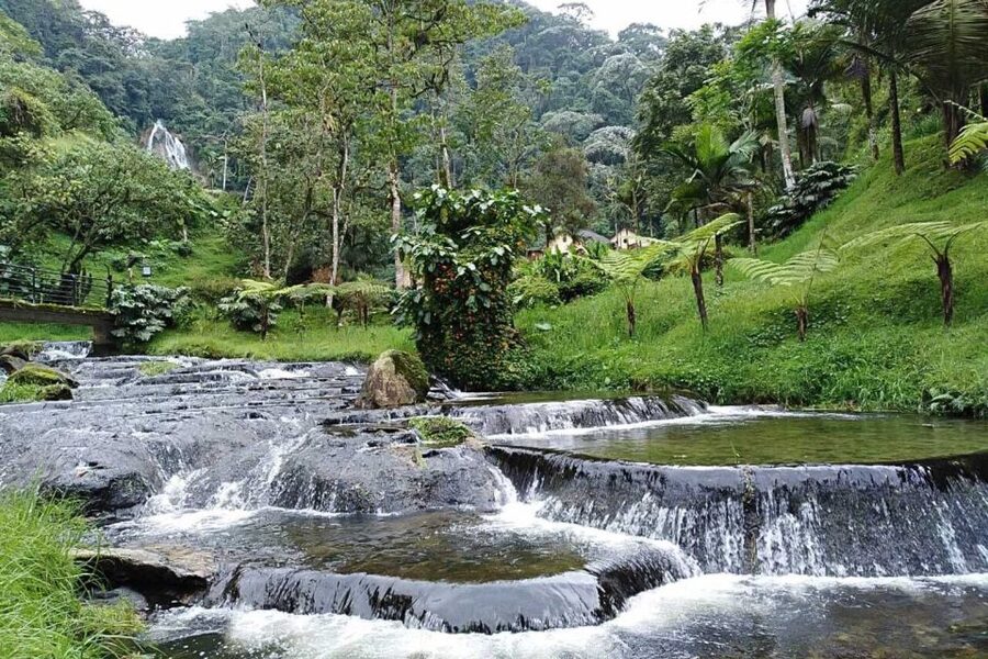 Santa Rosa de Cabal Thermal Hot Springs - Termales Santa Rosa de Cabal: your 3 hours of soak and explore