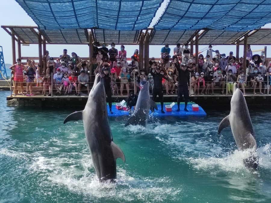 SANTAMARTA: TOUR Combo boat taxi, aquarium, lunch, and white sand beach - Key Things I’d Pay Attention To
