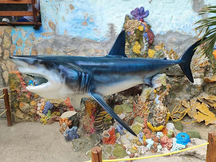 SANTAMARTA: TOUR Combo boat taxi, aquarium, lunch, and white sand beach - Lunch on the schedule: traditional meal, not an afterthought