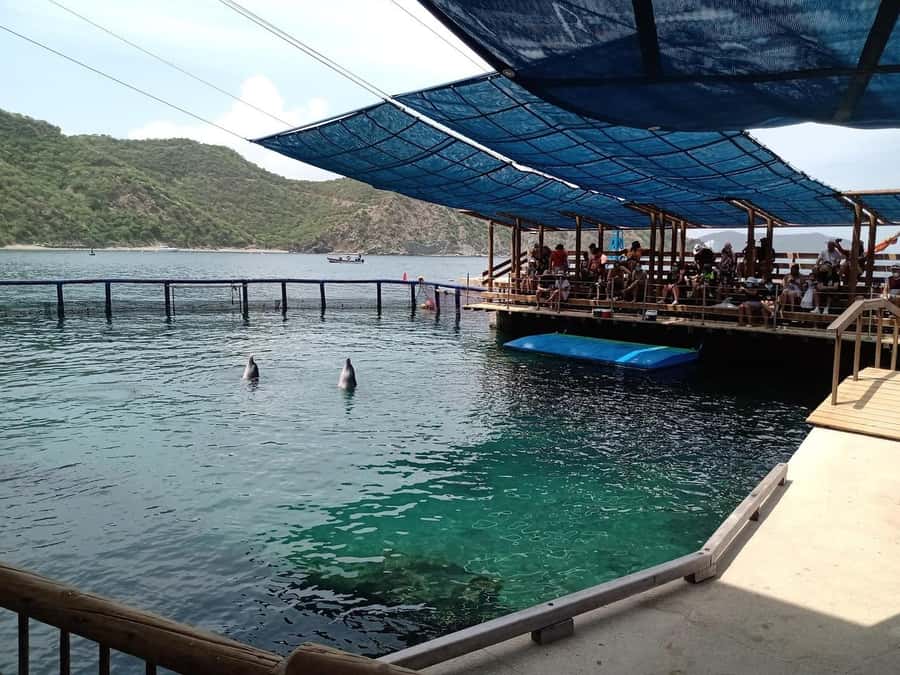 SANTAMARTA: TOUR Combo boat taxi, aquarium, lunch, and white sand beach - Should You Book This Santa Marta Combo?