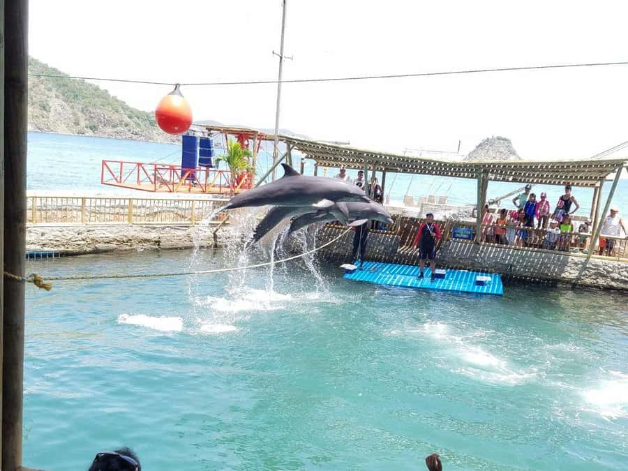 SANTAMARTA: TOUR Combo boat taxi, aquarium, lunch, and white sand beach - Rodadero Sea Aquarium and Museum: what you get and how to make it worthwhile