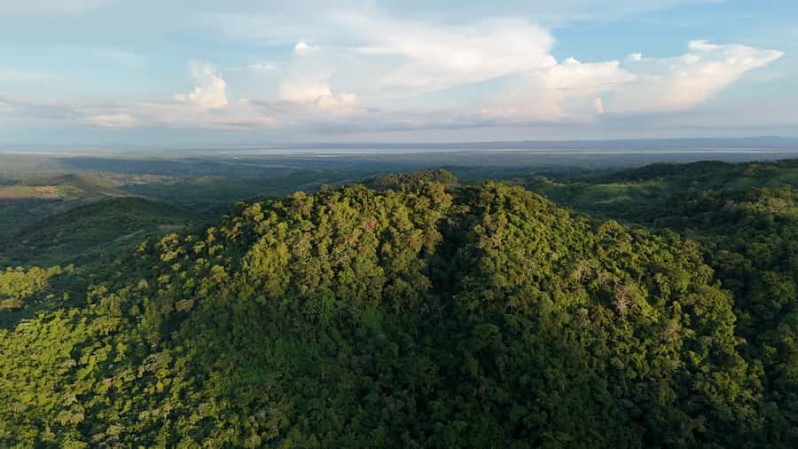 Scenic Horseback Ride in Tropical Mountain Reserve - Quick hits: what makes this day different