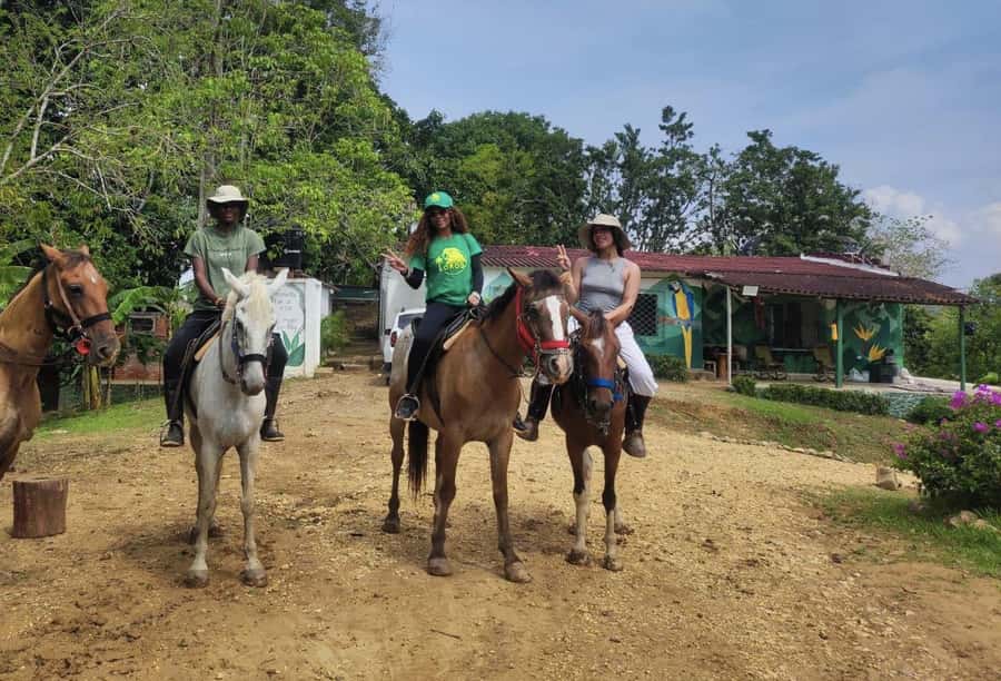 Scenic Horseback Ride in Tropical Mountain Reserve - Planting a tree: the conservation moment that isn’t just symbolic