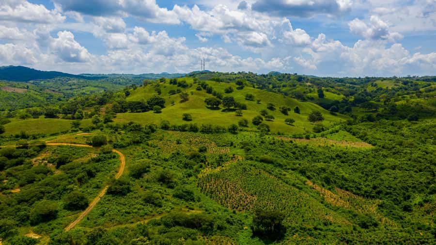 Scenic Horseback Ride in Tropical Mountain Reserve - What’s included for $169, and why the value can be real