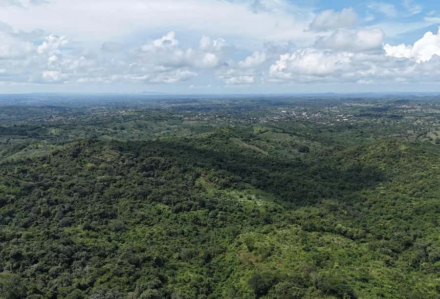 Scenic Horseback Ride in Tropical Mountain Reserve - Who should book this horseback and conservation day?
