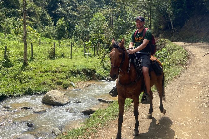 Scenic Horseback Riding in the Medellín Mountains - The ride itself: mountains, pine, and water crossings
