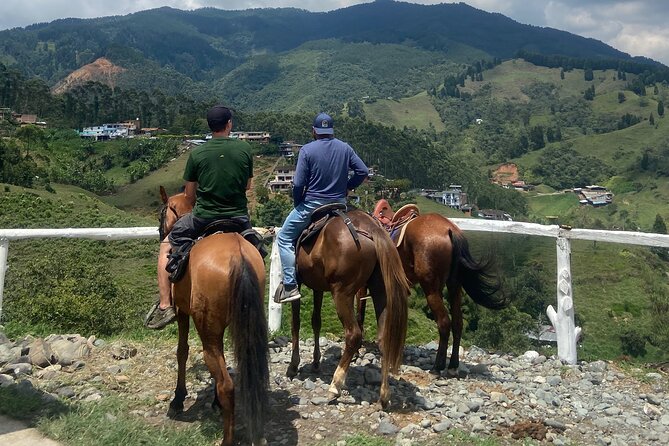 Scenic Horseback Riding in the Medellín Mountains - The best moments: scenic overlooks, carrot cake, and cold drinks