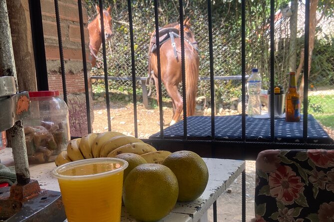 Scenic Horseback Riding in the Medellín Mountains - Animal care and the tour’s no-nonsense attitude about welfare
