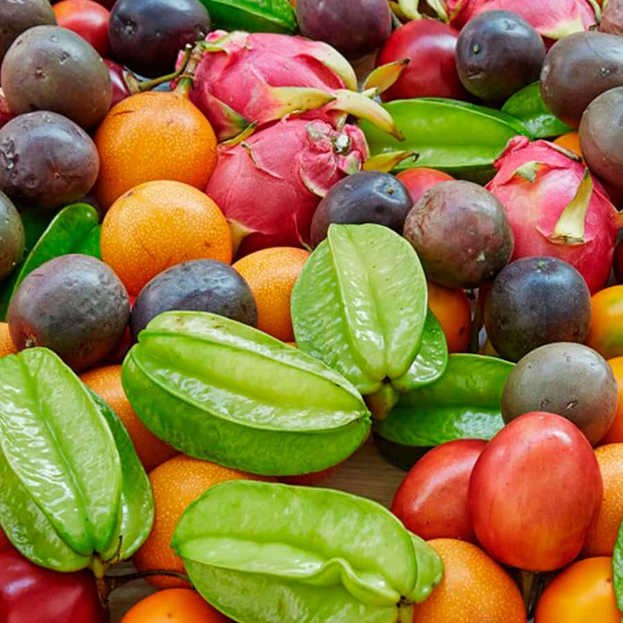 Shared Tour of Colombian Exotic Fruit at Paloquemao Market - Who this tour fits best