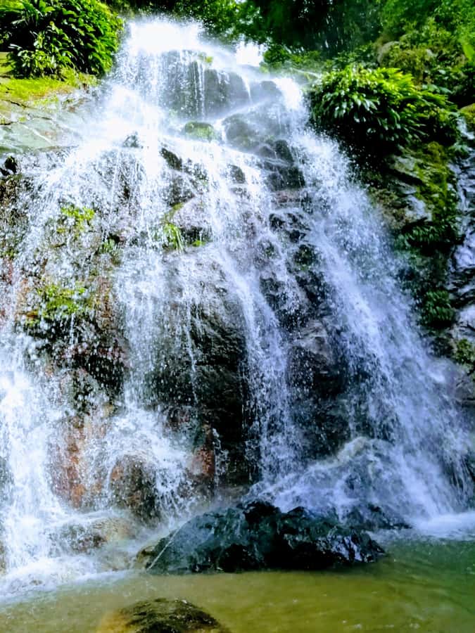 Sierra Minca Day Tour - Spanish-Only Guide and Small-Group Limits: Practical Tips to Make It Easy