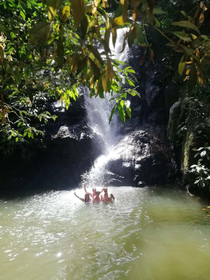 Sierra Minca Day Tour - Should You Book Iguanas Tours Sierra Minca Day Tour?