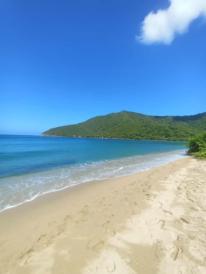 SPEEDBOAT TOUR TO TAYRONA CRISTAL BEACH - Getting From Santa Marta to Tayrona by Speedboat (and Why It Matters)