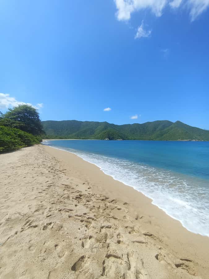 SPEEDBOAT TOUR TO TAYRONA CRISTAL BEACH - The Typical Beach Lunch: Simple, Included, and Part of the Value