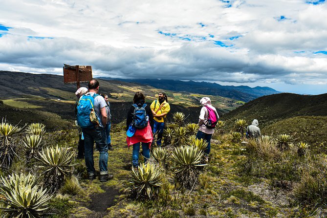 Sumapaz Páramo Private Hike Tour - Sumapaz Páramo, and why it matters beyond the hike