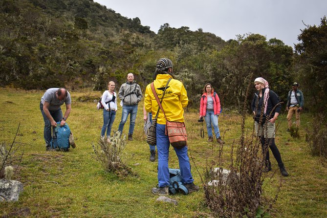 Sumapaz Páramo Private Hike Tour - The day’s main stop: Paramo de Sumapaz