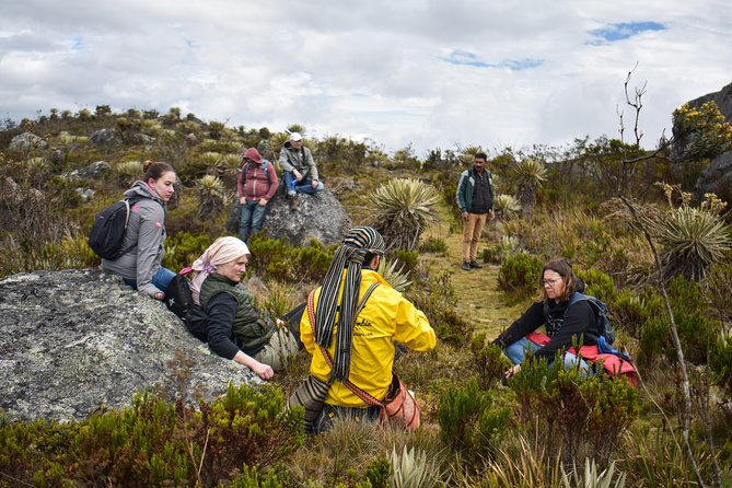 Sumapaz Páramo Private Hike Tour - Getting out of Bogotá without the headache