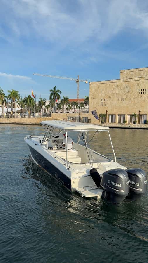 Sunset Party open bar on the bay while sharing with locals - Pegasus Pier Check-In: Where to Meet and How Not to Stress