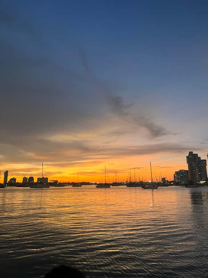 Sunset Party open bar on the bay while sharing with locals - Who This Suits Best (and Who Might Want a Different Plan)