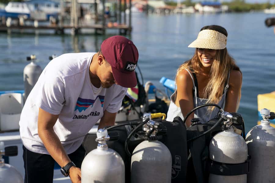 Tayrona National Park: Scuba Diving Tour for Beginners - Price, Value, and What You’re Really Paying For