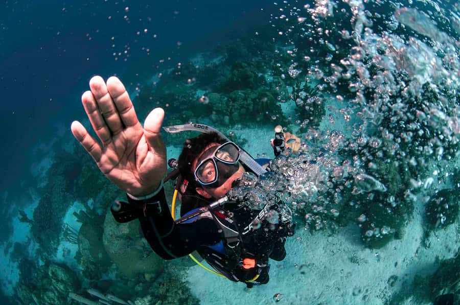Tayrona National Park: Scuba Diving Tour for Beginners - Who This Beginner Scuba Trial Is Best For