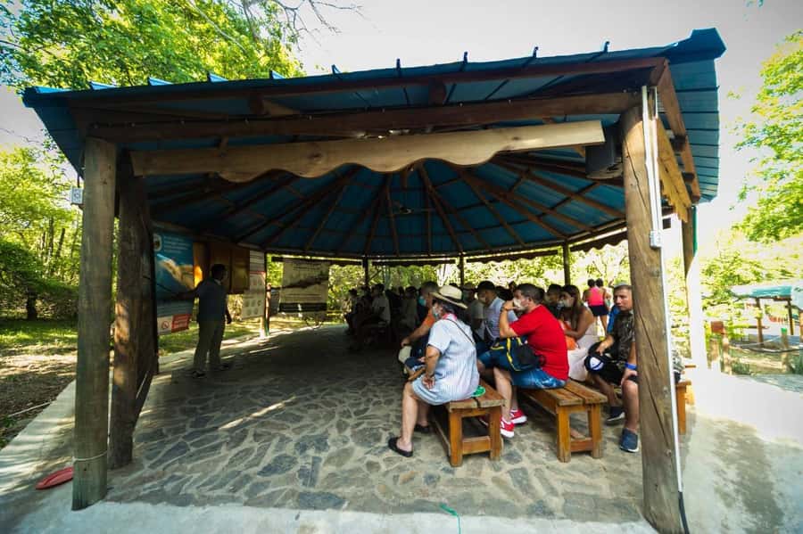 Tayrona Park adventure in Santa Marta: Cabo San Juan from Cartagena - The 2-hour tropical hike: humid trails, steady pacing, and hydration