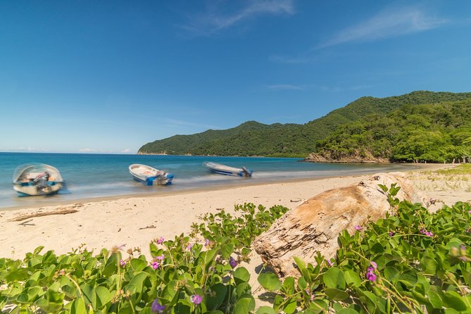 Tayrona Park Hike Tour to Cabo San Juan: Private or Shared - Stop 4: Playa del Cabo and Cabo San Juan, Where the Day Slows Down