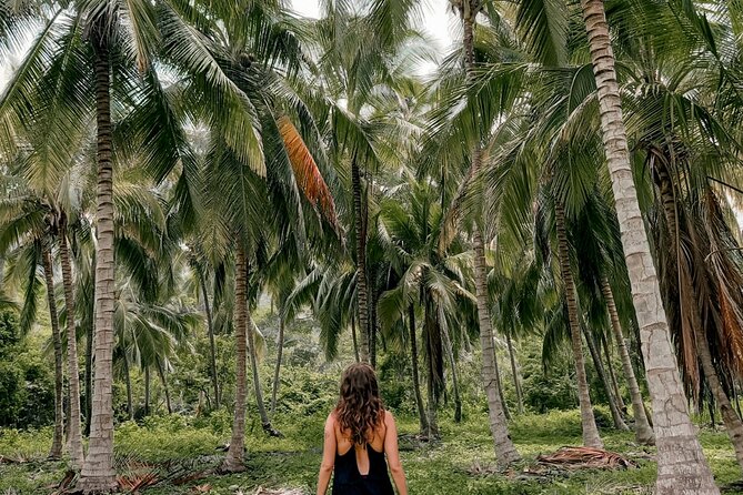 Tayrona Park Hike Tour to Cabo San Juan: Private or Shared - Private vs Shared: Santa Marta Pickup and Return Can Change Your Mood