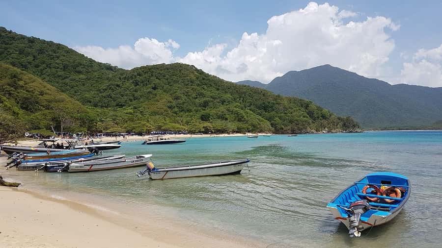 Tayrona Park & Playa Cristal - The 7 olas viewpoint: your first real taste of scale