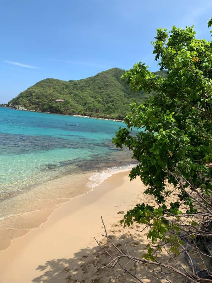 Tayrona Park & Playa Cristal - Guides and the information level: what you can expect in Spanish