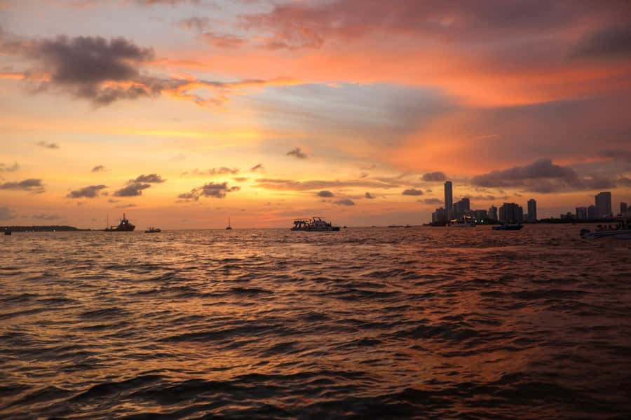 The best sunset tour in the bay: Open bar party & fun - How the Tour Actually Feels: Sunset Views With a Social Party Mood