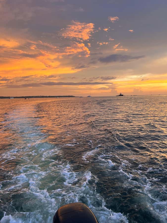 The best sunset tour in the bay: Open bar party & fun - Who This Tour Fits Best (and Who Might Skip It)
