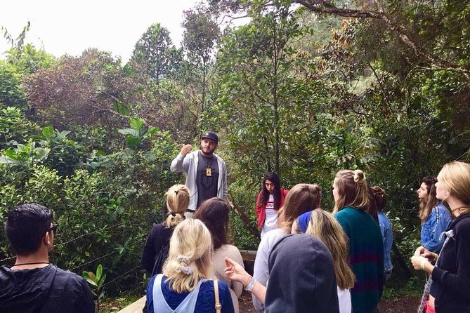 The "not polite to use his name" City Tour - Why Daniel’s style makes a difference on this kind of tour