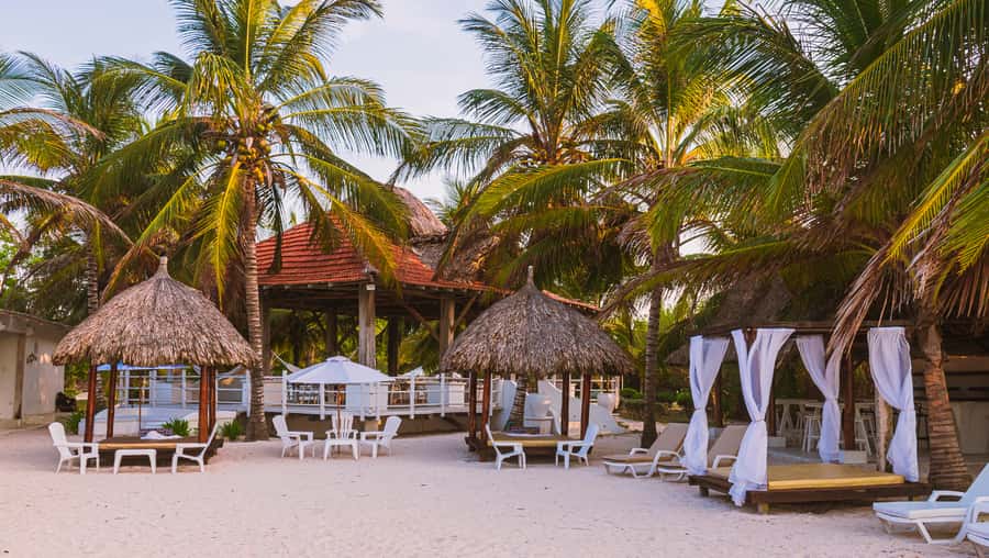 Tierra Bomba Island: A day at Marine Beach Club - Timon vs Marine Plan: what you actually get for the money