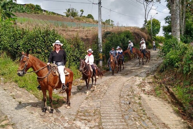 Tour Cabalgata - Hotel Pickup and Private Mountain Time in Medellín