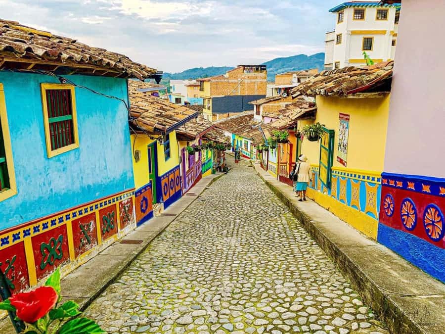 Tour Guatapé - Piedra del Peñol with departure from Medellín - The one-hour Guatapé Lake cruise: the dam becomes the main character
