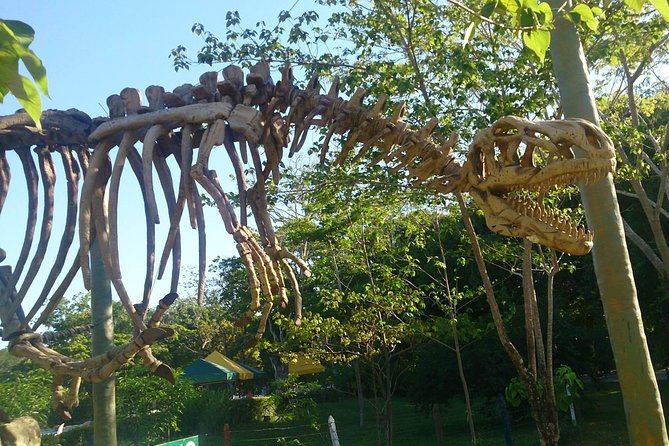 Tour to the Hacienda Nápoles Theme Park - Hippo Park, Vanessa, and the Iconic Animal Moments