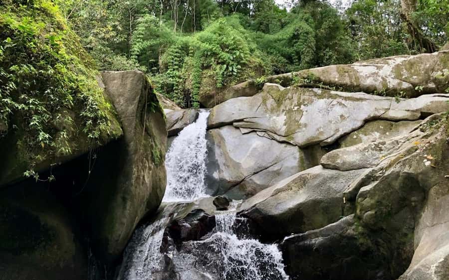 Trekking History and Indigenous Heritage in Minca + Cacao & Coffee + Waterfall - A Minca half-day with culture, not just scenery