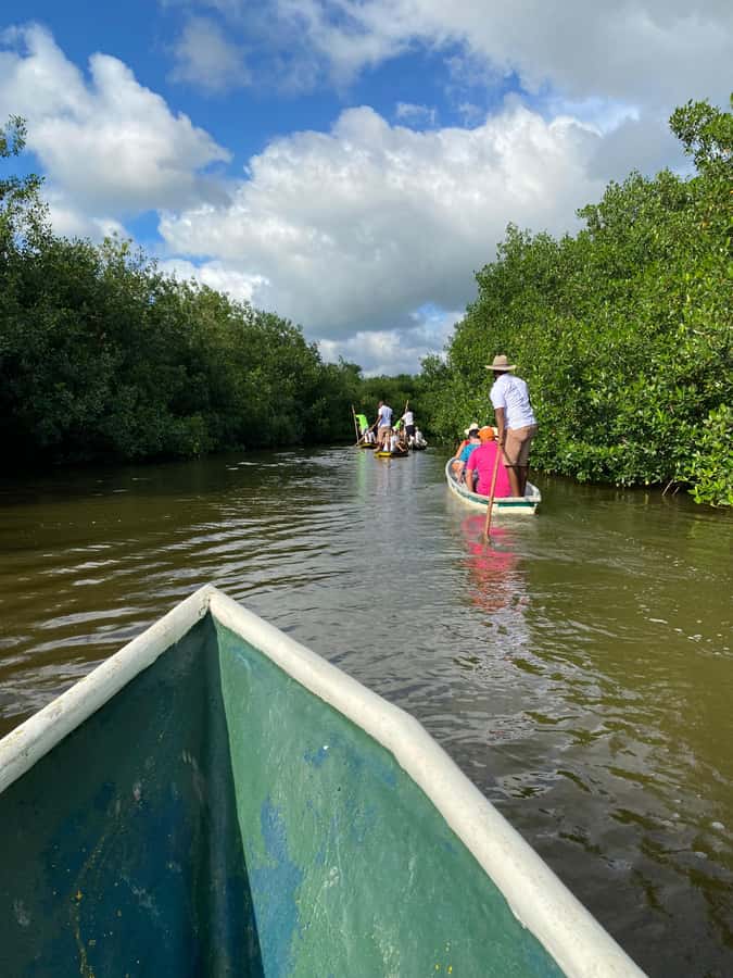 Typical lunch on beach, mangrove tour & fishing with natives - Hotel pickup, the north-coast community, and that coconut welcome
