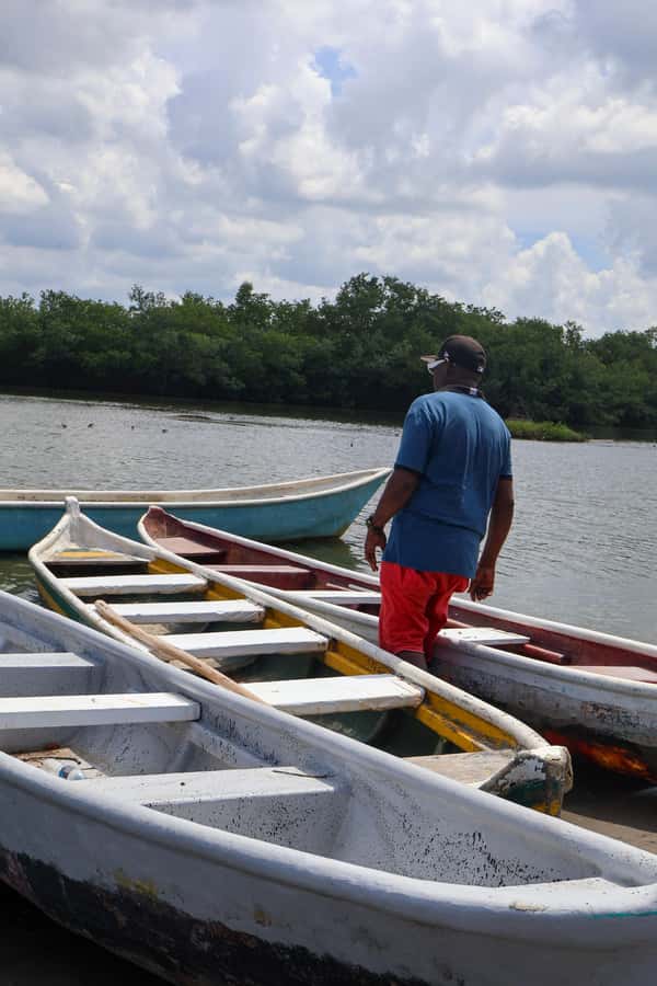 Typical lunch on beach, mangrove tour & fishing with natives - Lunch at 12:30: beachfront food cooked by native women