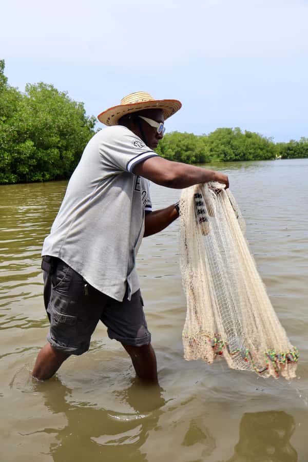Typical lunch on beach, mangrove tour & fishing with natives - Should you book this mangrove lunch and fishing tour in Bolívar?