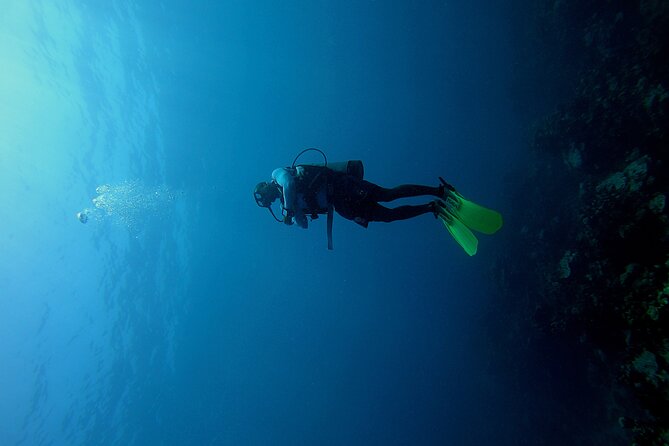 Under a sea of adventures, unforgettable diving. - Key Highlights You’ll Care About