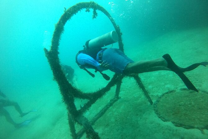 Under a sea of adventures, unforgettable diving. - Where You Start in Cartagena, and Why 9:00 am Matters