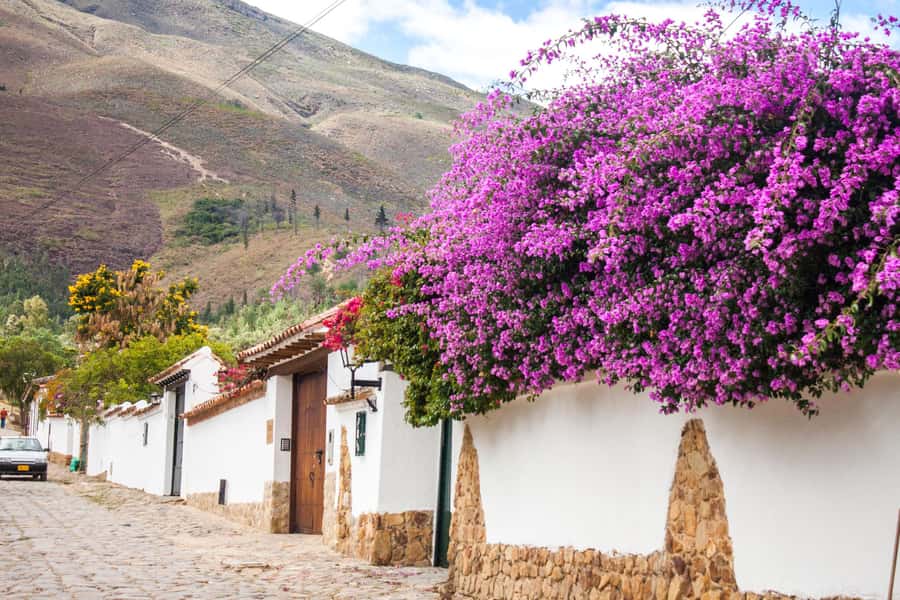 Villa de Leyva Trip by Private Transportation - Who This Trip Suits Best