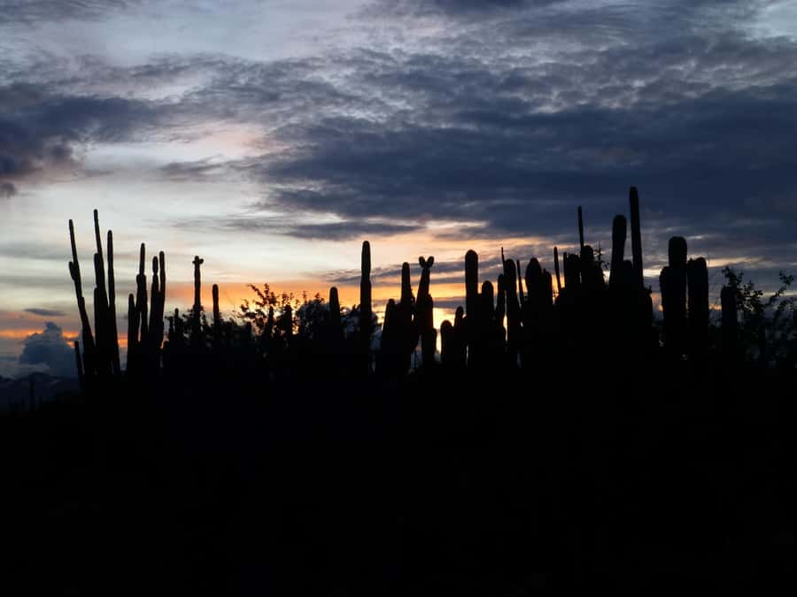 Villavieja: Tatacoa Desert Horseback Riding Tour - The 2-Hour Ride Across the Desert, What It Feels Like