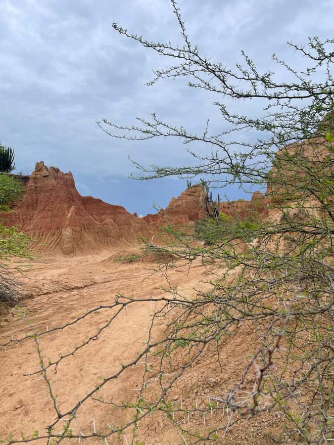 Villavieja: Tatacoa Desert Horseback Riding Tour - Fossil Stop in the Tatacoa, How the Past Gets Personal