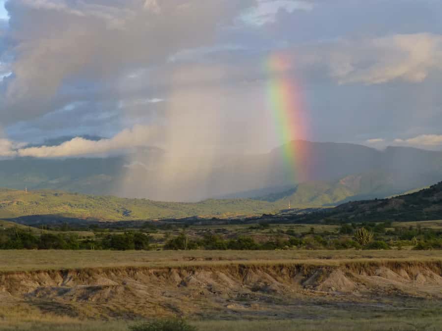 Villavieja: Tatacoa Desert Horseback Riding Tour - What to Bring, So the Heat Does Not Win