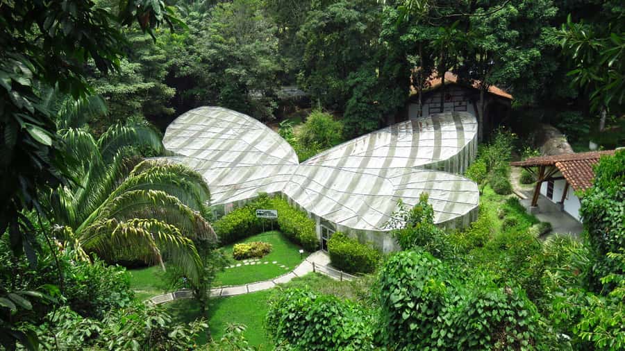 Walking tour José Celestino Mutis Botanical Garden 3 hrs - Key highlights to look for